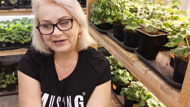 Принимаю эстафету и передаю другим блогерам. смотреть онлайн