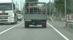 БРОСИЛ ДОМ ВЗЯЛ ВСЕХ И УЕХАЛ!!! ПОЕЗДКА В АСТРАХАНСКУЮ ОБЛАСТЬ. ОТВЕТЫ НА ЧАСТО ЗАДАВАЕМЫЕ ВОПРОСЫ.