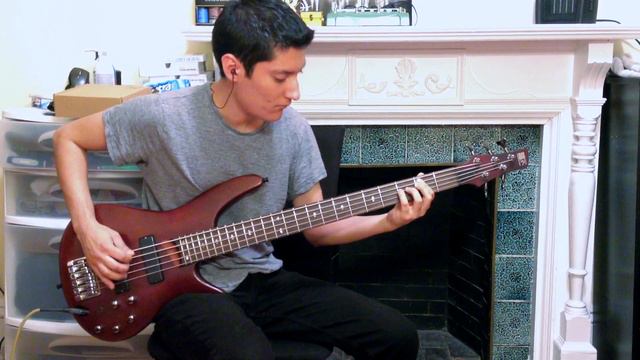 Pierce the Veil | Bulls in the Bronx [Bass Cover] смотреть онлайн