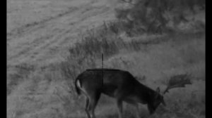 Yukon Sightline N455