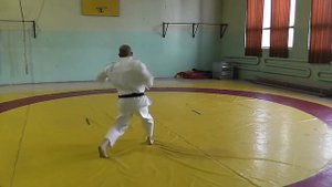 Ката Пинан Шодан  Вид спереди Kata Pinan Shodan  Front view   Косики Каратэ