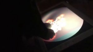 Кот бьется током