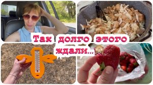 ну вот, дождались?будни мамы с пятью детьми_мотивация_@мама пятерых