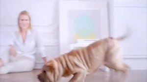 Анонс и реклама (Дом кино, 20.02.2014)