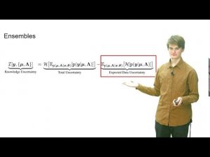 Ivan Provilkov: Ensemble Distribution Distillation - Regression