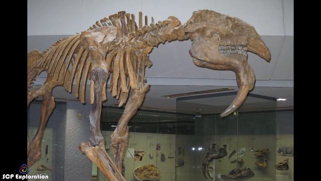 Top 5 Ordinary-Looking SCPs