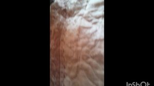 мне первое видео!!!@кузнечик,чем его кормить, и как содержать.