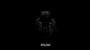 Maga - Notorious