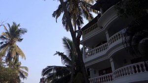 Alidia Beach Cottages 3* GOA  Инженер по кокосовой безопасности