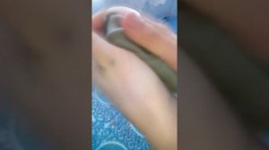 Как размягчить очень засохший пластилин