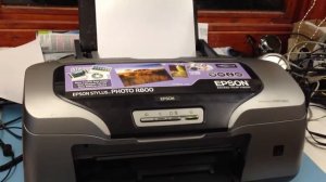 Epson Stylus R800 printer repair
