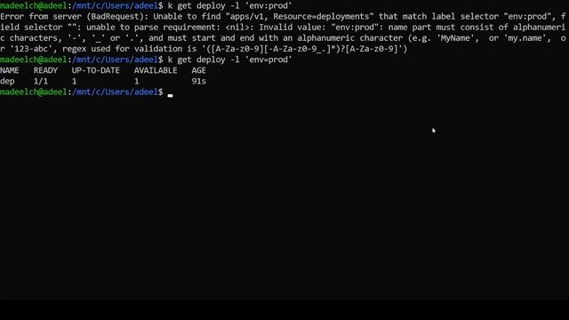 Working with kubernetes labels and selectors
