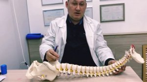 ВТЭС по Герасимову