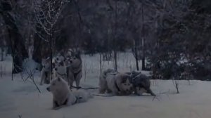 Железная Воля. СУПЕР ФИЛЬМ!