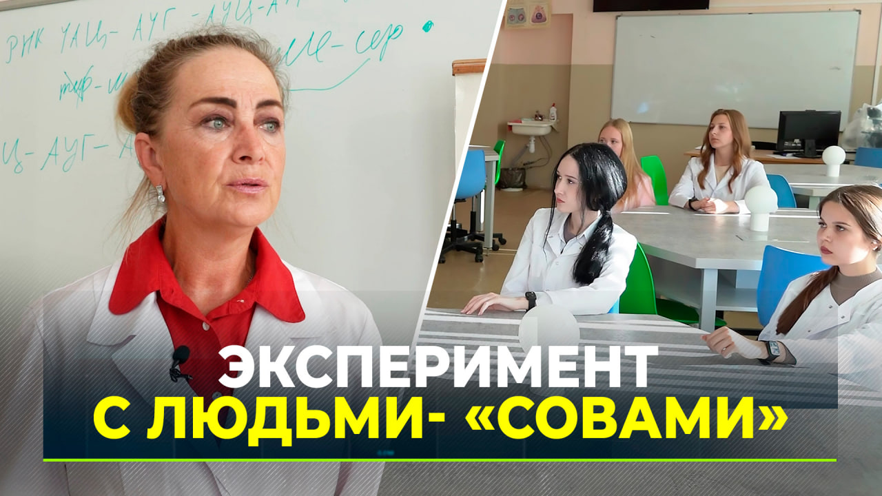 В Тюмени для студентов составили особое расписание смотреть онлайн