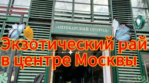 «Экзоты» в Москве…Как такое возможно?!🤔