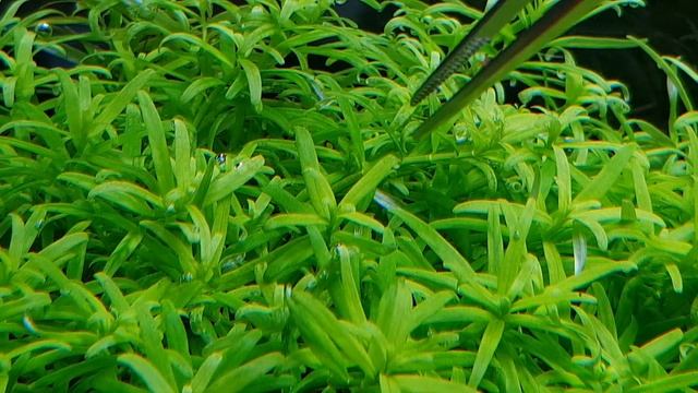 30 л - 169ый день - 2 недели новый рем смотреть онлайн