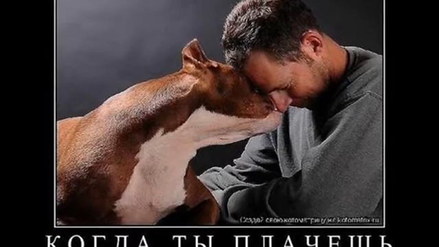 Подари мне себя смотреть онлайн