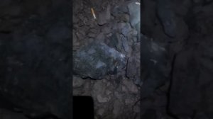 что это? может пирит?