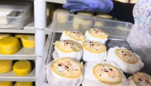 Фермерское хозяйство "Молодая Ферма". Сыр мягкий с белой плесенью камамбер и другие.