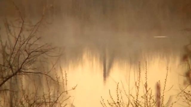 ДОБРОЕ УТРЕЧКО !!! МИР!ТРУД! МАЙ! 1.05 2017 смотреть онлайн