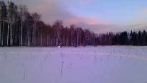 Ямаха Проф самый тяжелый в мире снегоход