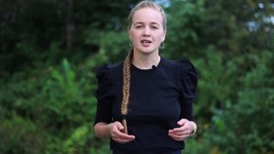 Гречишный мед. Особенности, характеристики, польза для организма человека.