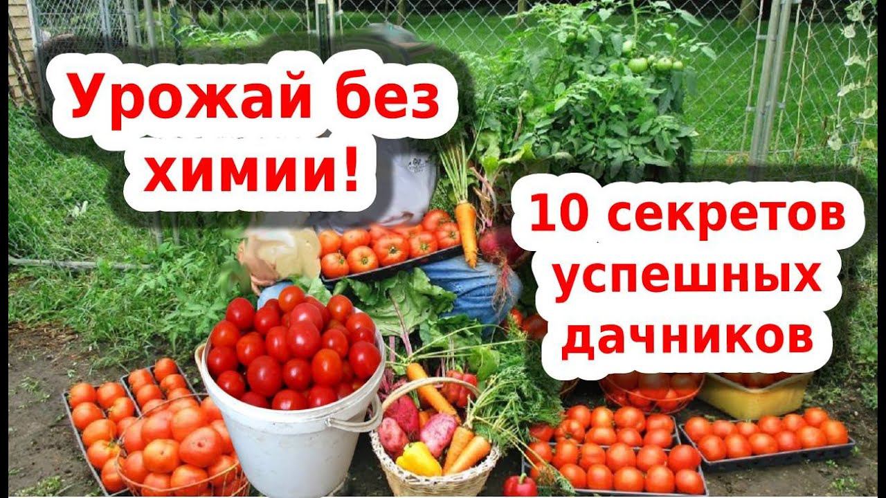 Откажитесь от химии в огороде, перейдите на природное органическое земледелие