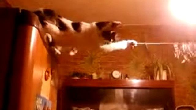 Учимся ходить по канату смотреть онлайн