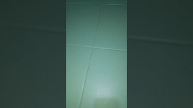 Покраска плитки краской Делюкс Dulux