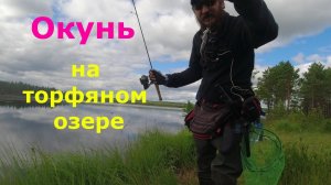 #435 #мормышинг #микроджиг  | Торфяное озеро |