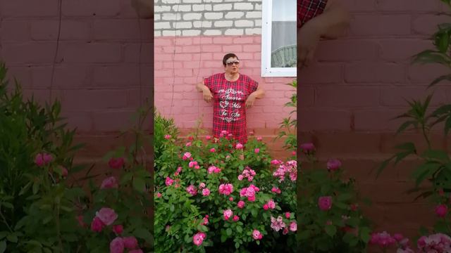 #мама