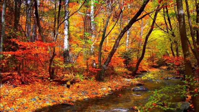 Очень красивая музыка!!! Secret Garden - Canzona смотреть онлайн