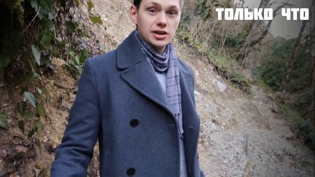 Тисо-самшитовая роща в Сочи весной