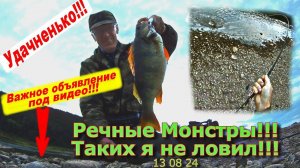 Речные Монстры!!! Таких я не ловил!!! 13 08 24