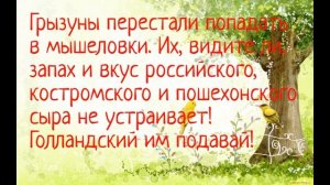 Анекдоты про животных. Сборник №3