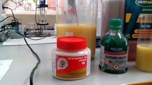 Простое средство против насекомых вредителей сада