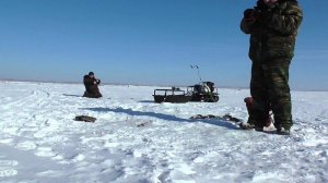 Ловля окуня на озере Ик, Омская область. Рыбалка реалтайм.