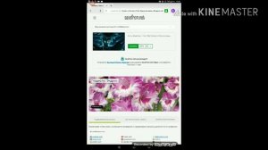 Видео-урок как сохранить анимацию с Ютуба и как делать видео с помощью кинемастера.