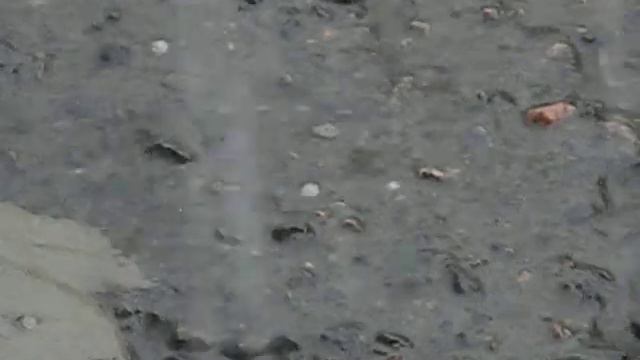 Град на Марсе, Новоайдар 28 июня 2007г 07 06 28 016 смотреть онлайн