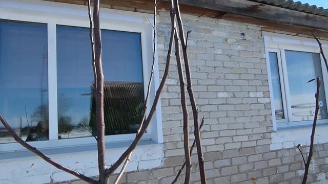 Домашние петушки/Заработок в деревне/Сад/Рассада в доме смотреть онлайн