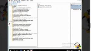Где хранятся сертификаты в windows 10