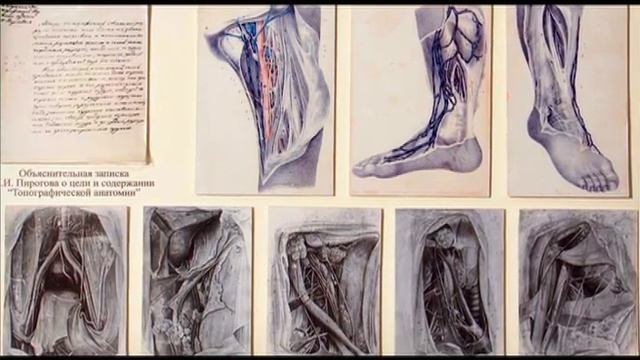 Pirogov Master SD смотреть онлайн