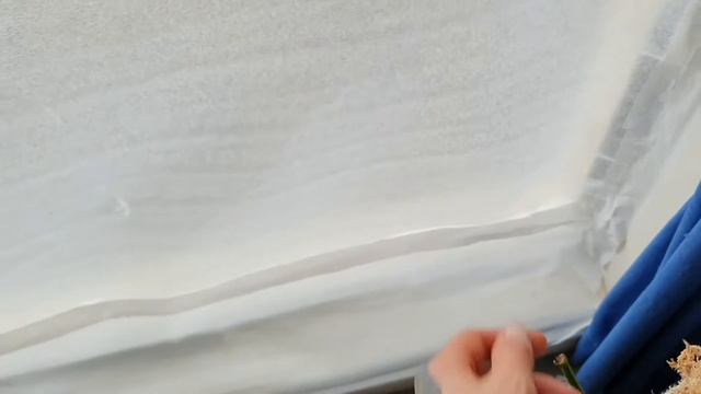 House Plant Tour  - Winter 2020 - Plant Tips with Empress смотреть онлайн