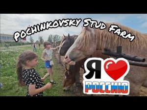 SOVIET Draft Horses! Thank you to Pochinkovsky Stud Farm! Russian horses!