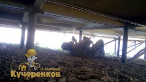 Утепление полов в каркасном доме на свайном фундаменте
