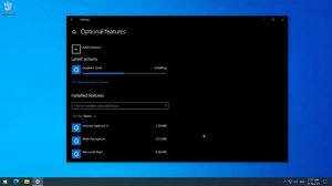 An obscure way to install DirectX 12 debug libraries on Windows 10 [5Dx-Dx-hshg]
