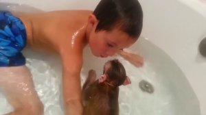 Обезьянка и ребенок принимают ванну