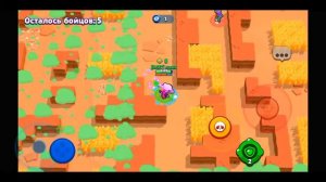Ворон на 30 ранг??? Бравал Старс /Brawl Stars