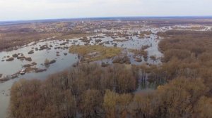 Разлив реки Воронеж. Село Горицы. 2023 г.